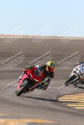 media/Jan-13-2024-SoCal Trackdays (Sat) [[9c032fe5aa]]/Bowl Exit Set 2 (1135am)/